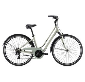 BICICLETA LIV FLOURISH FS 3