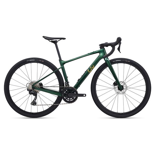 BICICLETA LIV DEVOTE ADVANCED 2