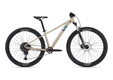 BICICLETA LIV TEMPT 29" 1